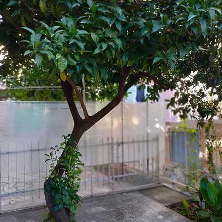 Apartment Mini Ornelia *